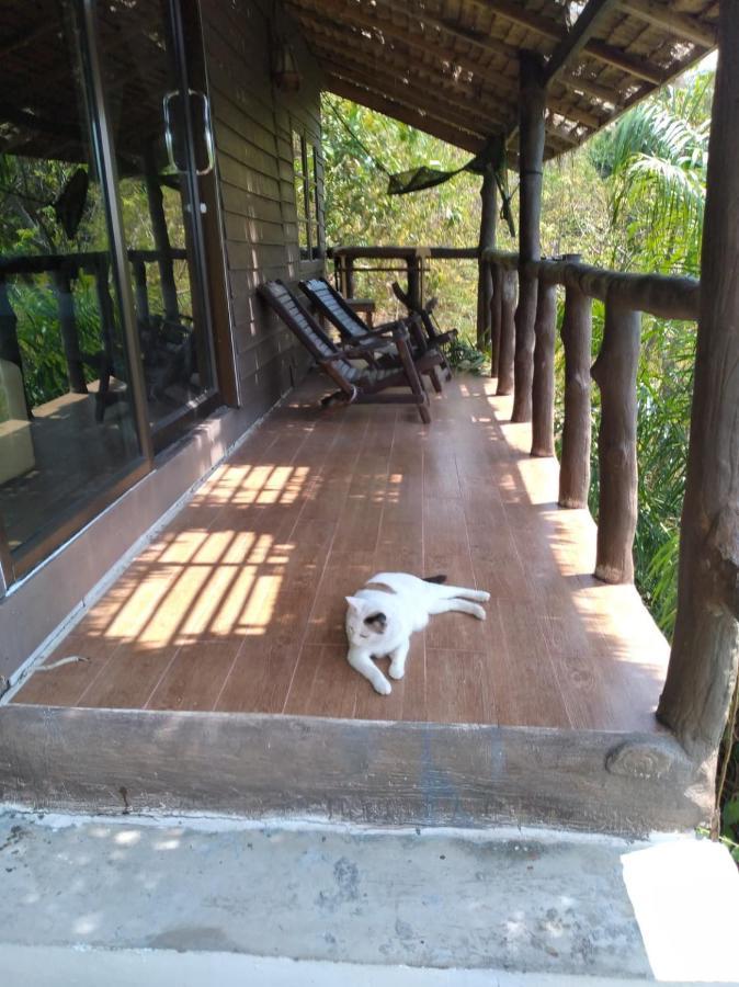 Tree House Bungalows Ko Tao Exterior foto