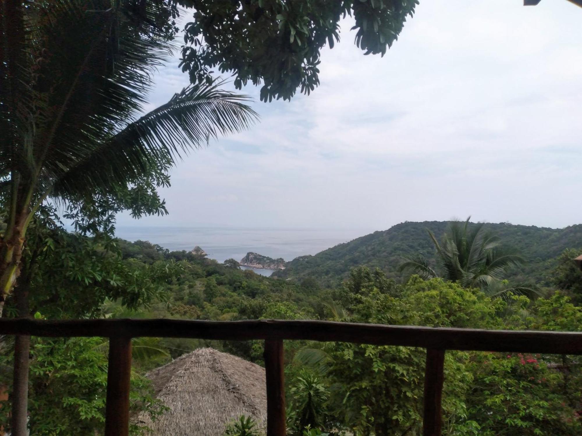 Tree House Bungalows Ko Tao Exterior foto